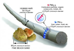 【转载】 查了多篇科学文献，给你一份PM2.5知识图谱